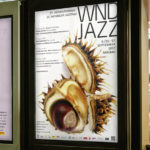 wnd-jazz13